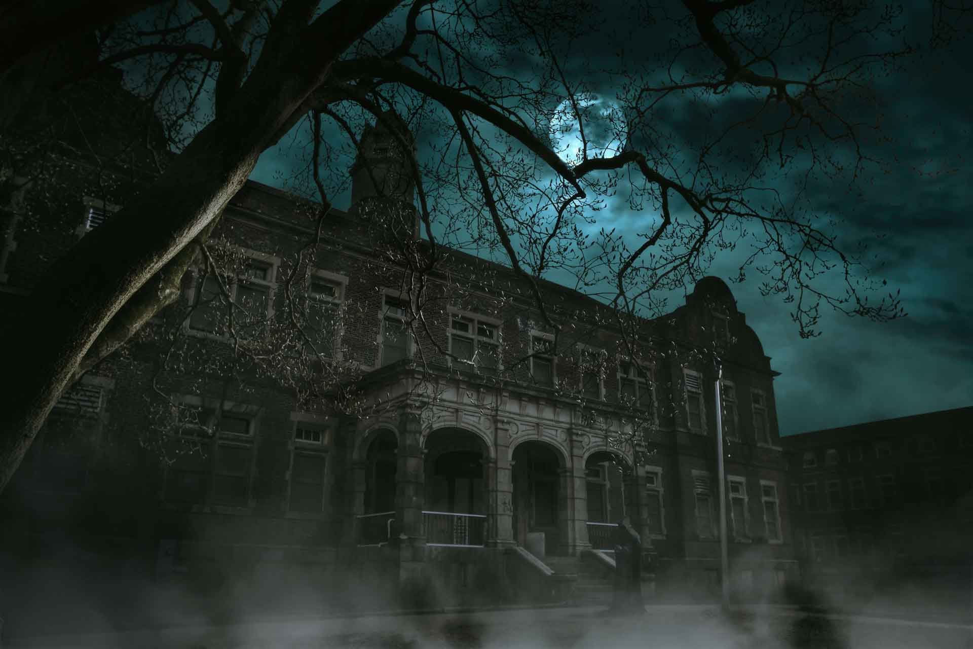 Back haunted house halloween special